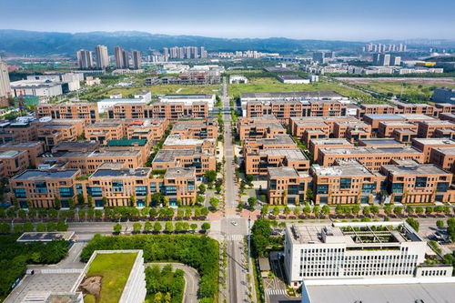 重庆开展服务业扩大开放综合试点示范建设