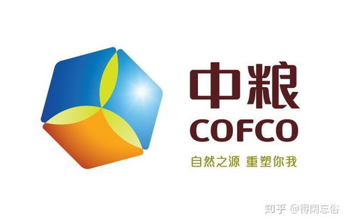 寻保相系列之产品解析 中英人寿爱守护尊享版重大疾病保险