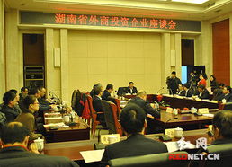 湖南召开外商投资企业座谈会 企业家 支招 开放型经济