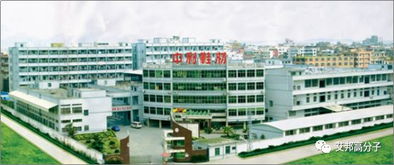 晋江主要鞋材企业介绍 一