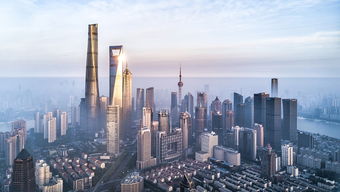 又一批新晋 总部经济 来了 这些外企 掌门人 有话要说