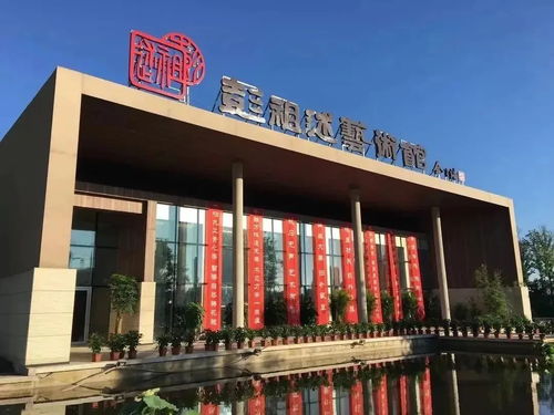 小众但惊艳 随机吸引一个热爱艺术的人