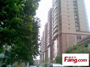 丽骏豪庭小区租房,一室一厅,丽骏豪庭,精装公寓,家私电器齐全,沃尔玛楼上,繁华地段,东莞塘厦花园街租房 房天下