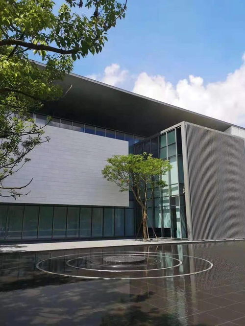 2020年星河地产集团精品项目合集