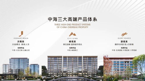 工业用呢厂地块 中海镜映南开户型 洋房 小高层 楼盘详解