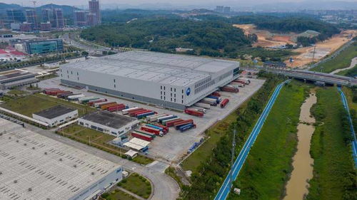 比亚迪海外首座工厂建成投产, 海豚 当之无愧接下这一棒