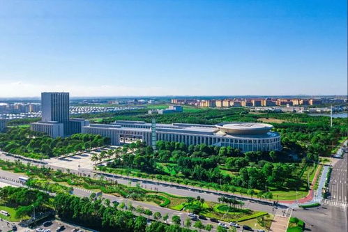 在沪外商走进南汇新城,新片区已吸引外商企业及分支机构2200余家