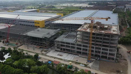 宝山这一高端智能工厂项目加速建设,预计年内交付
