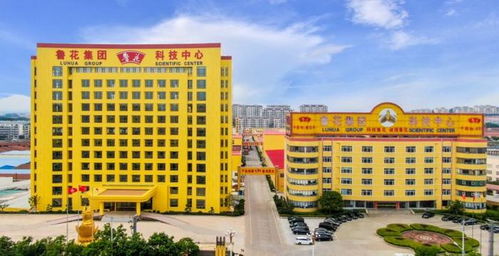 坚守产品主义,鲁花集团助推食用油品质升级之路