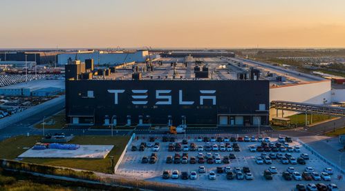 上海临港新片区多家国企率先采购特斯拉 model y 汽车