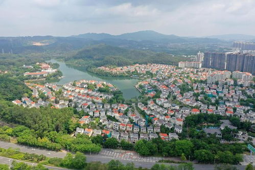 莞家对话东莞塘厦镇党委书记黄贵洪 塘厦外商之家的服务与愿景