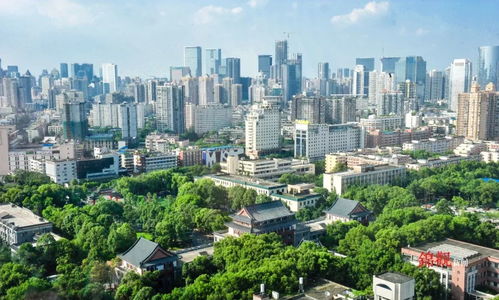 成都再登人民日报头版头条 塘厦外商之家成国际化营商环境新标杆